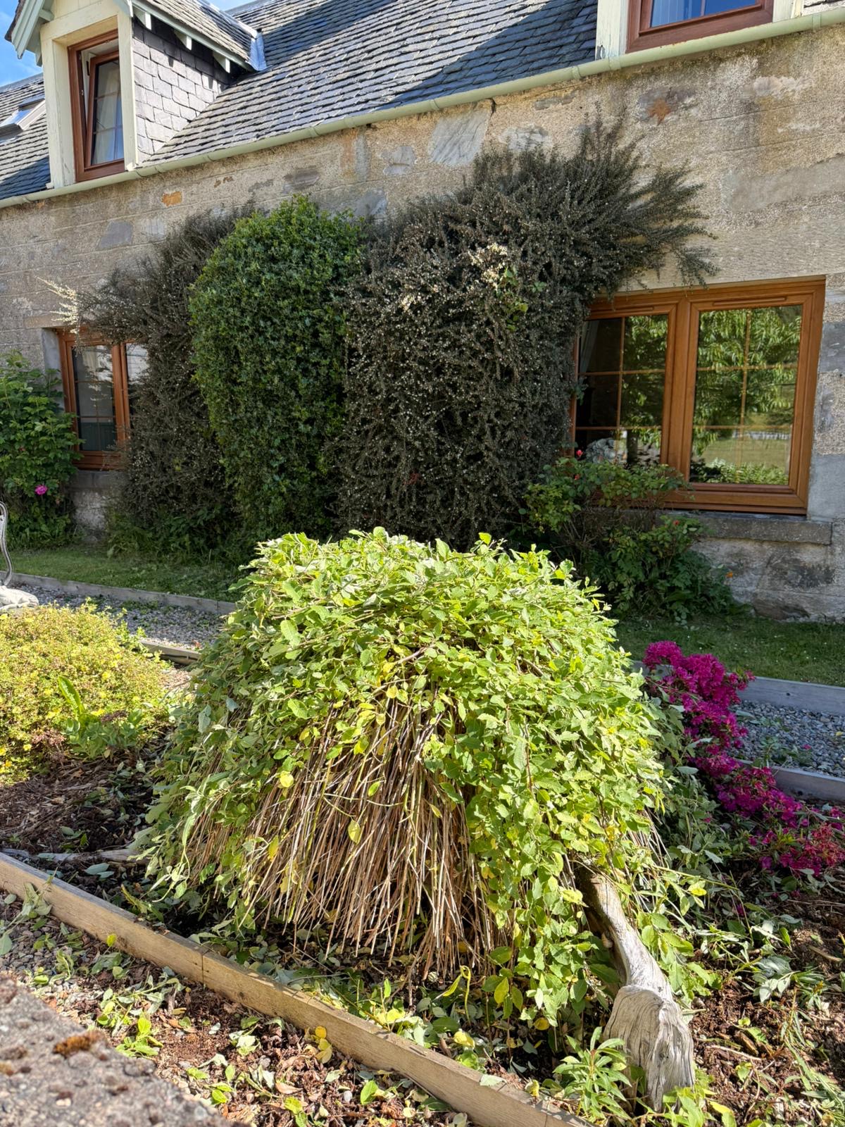 A well-maintained garden by Orange Pod Gardening