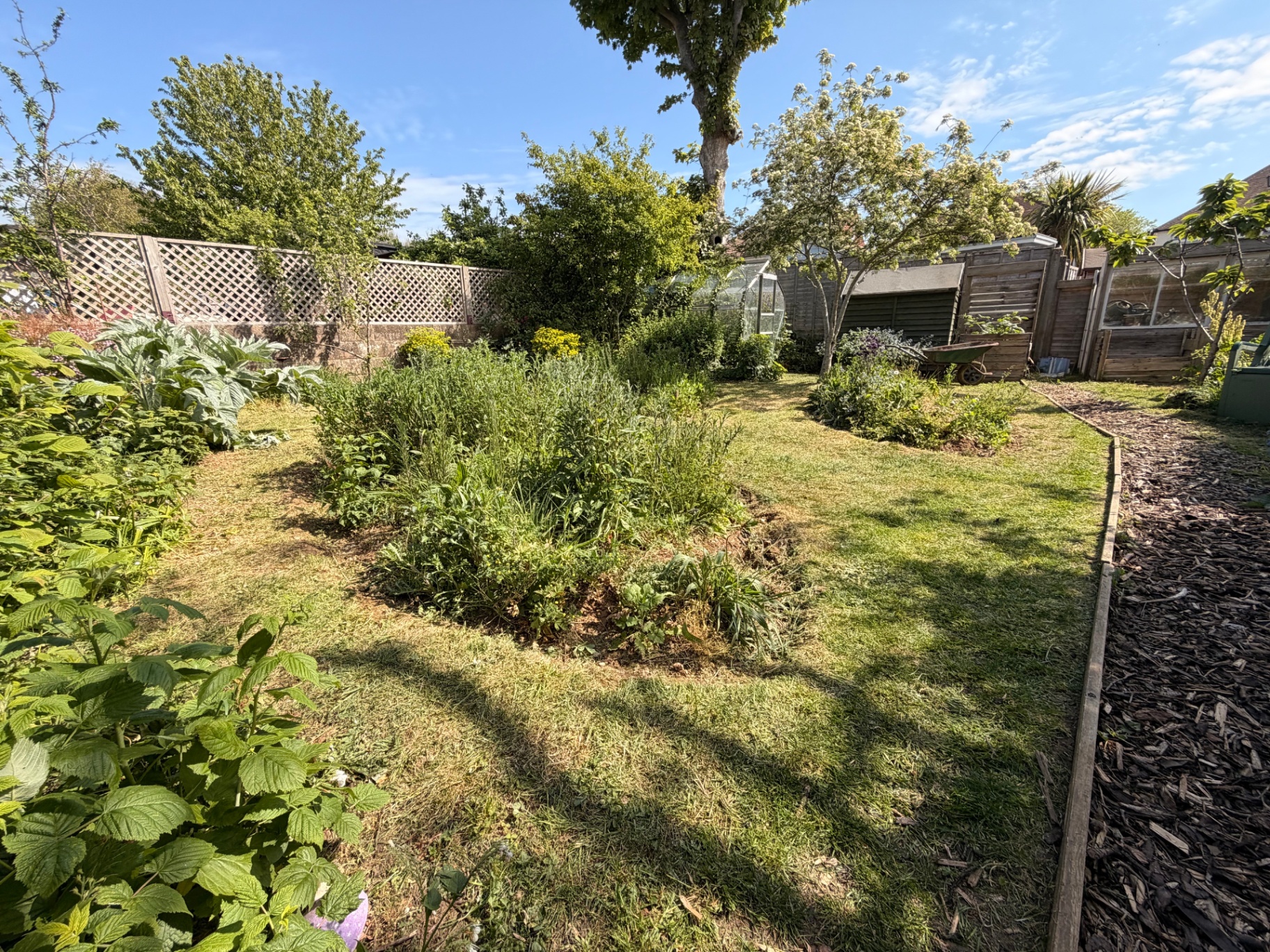 Existing growth cut back and the bed tidied to give seedlings space.